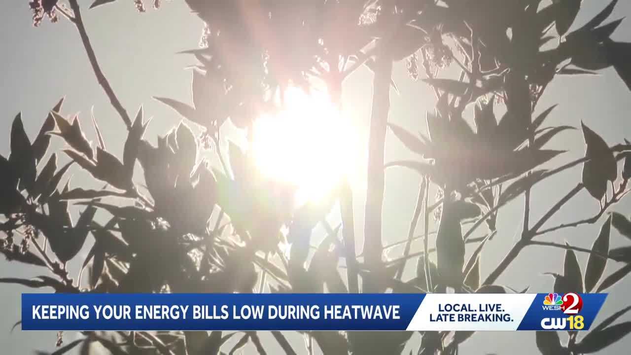 Professional advice to keep energy bills low during extreme heat — WESH 2 Orlando, Winter Park Community news